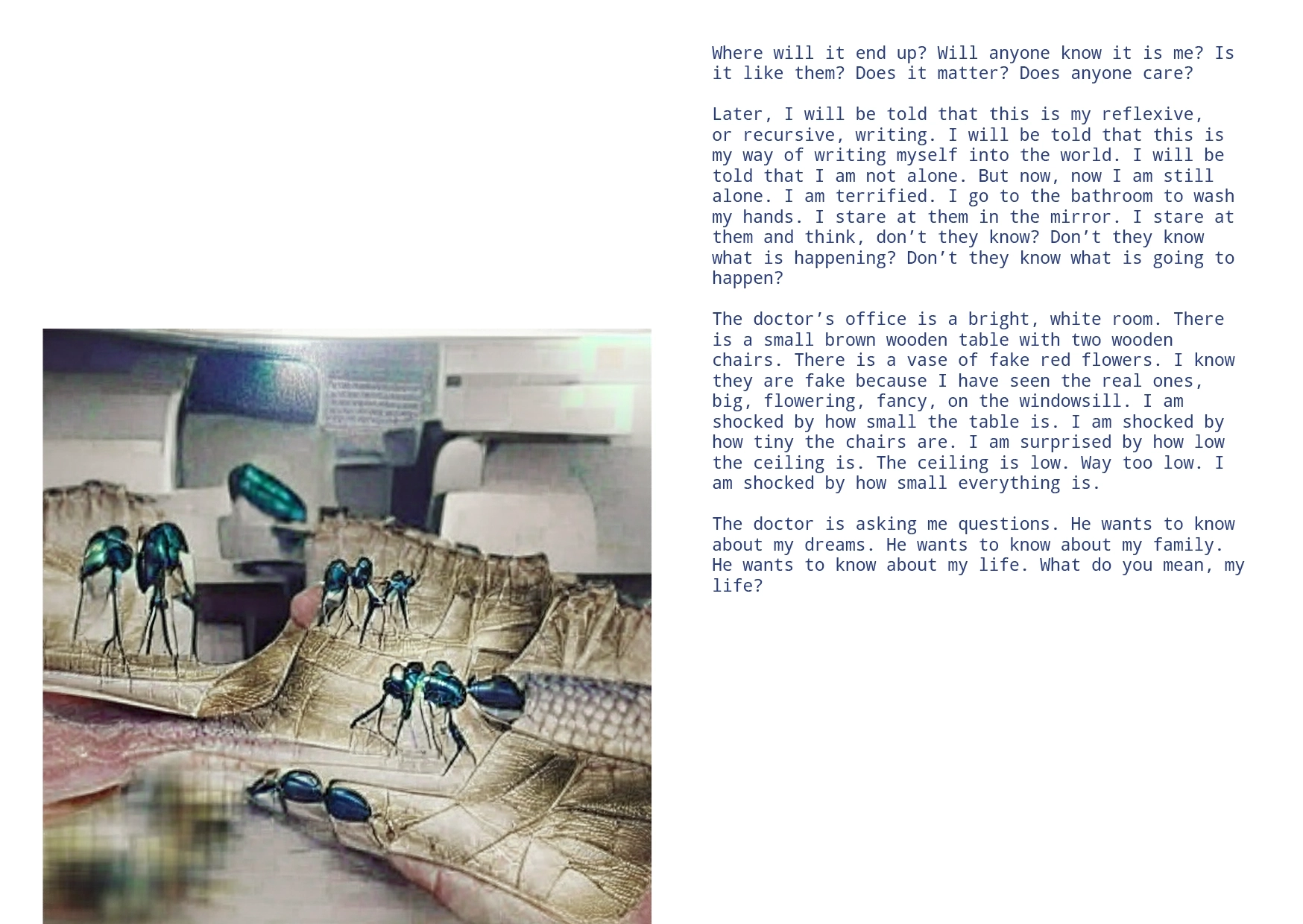 A strange image with possible ants. A poem - Where will it end up? Will anyone know it is me? Is it like them? Does it matter? Does anyone care?