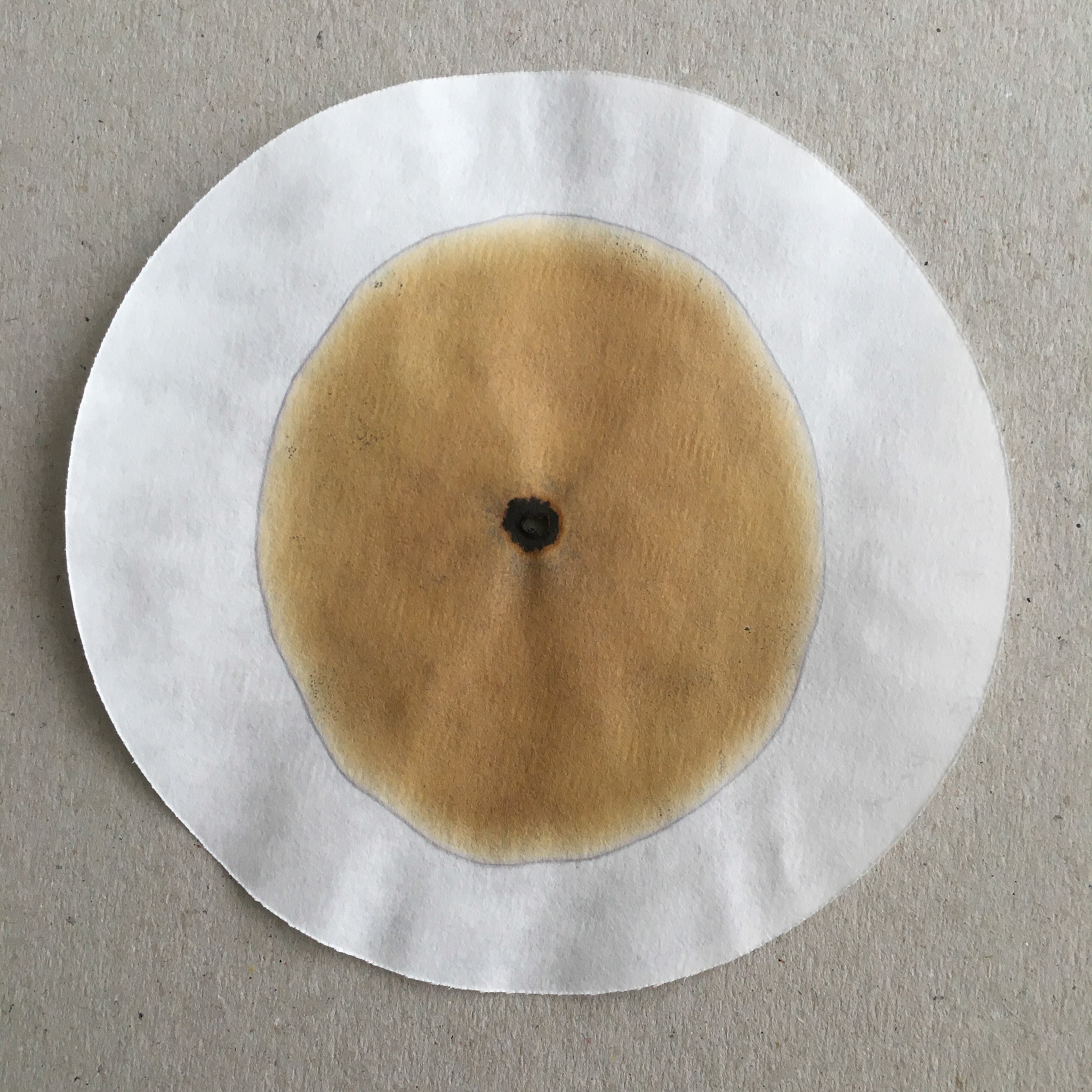 Black loamy peat black