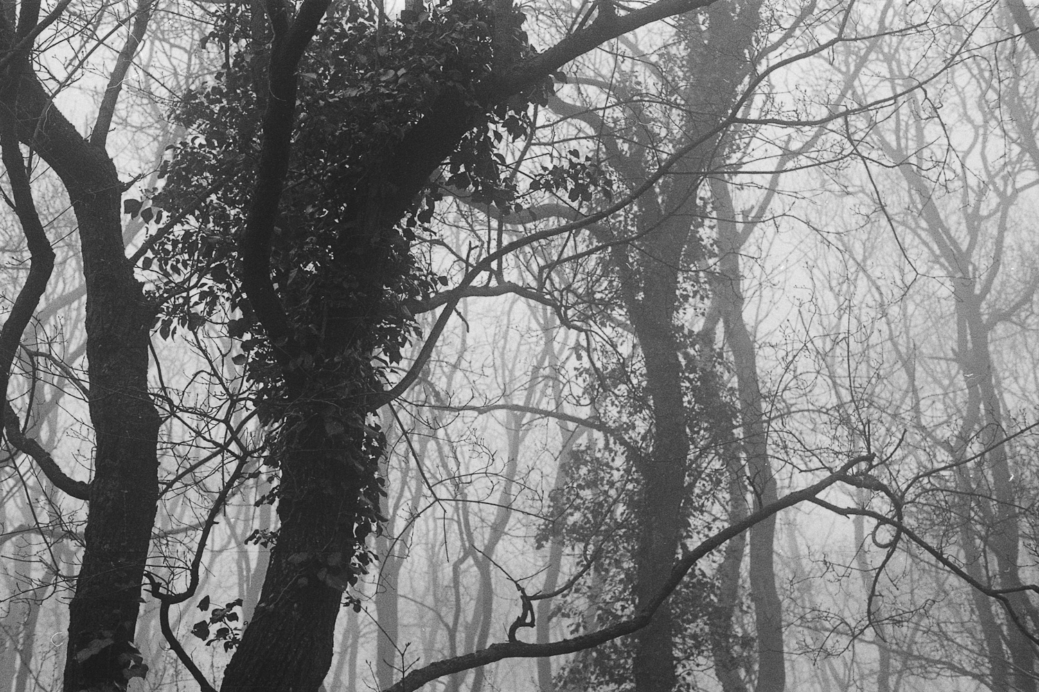 Geometry - a point, a line, a surface?