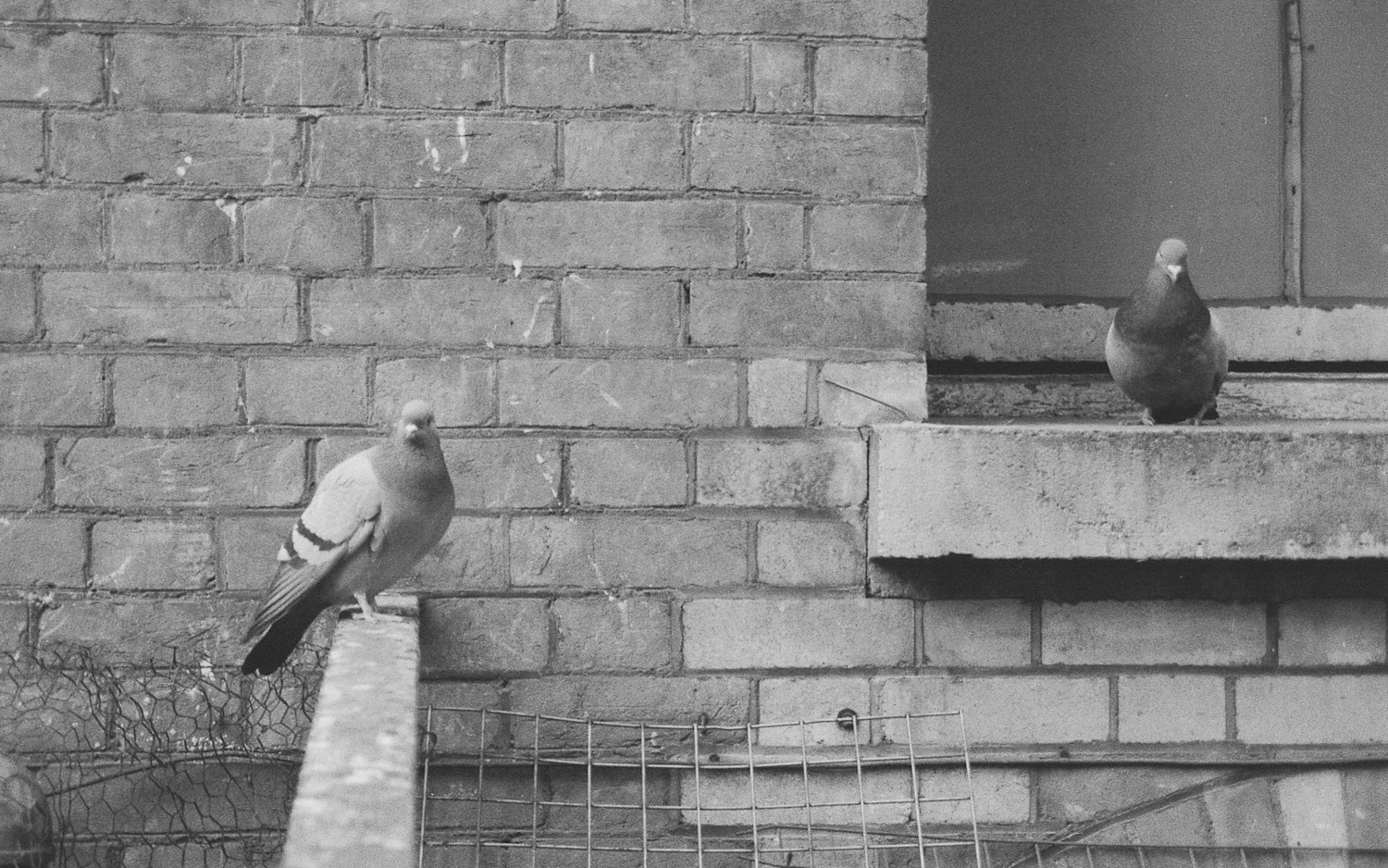 Is that because it is most familiar?