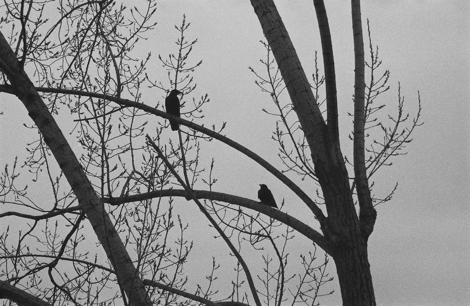 Looking for wilder + wilder places?