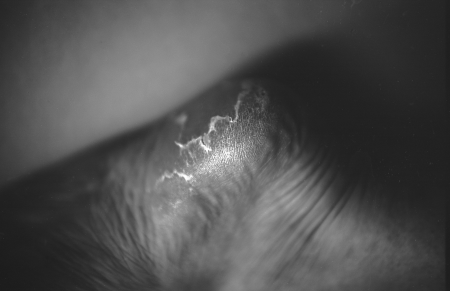 Tiina_Burton-bodylandscape2_foot