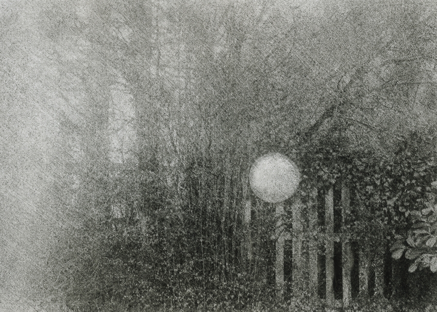 Tiina_Burton-Iknield-Way-bromoil