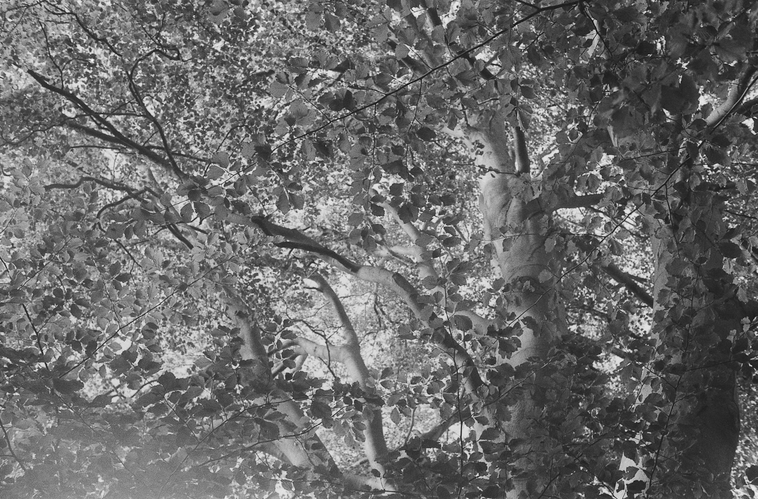 Towards equilibrium or chaos?